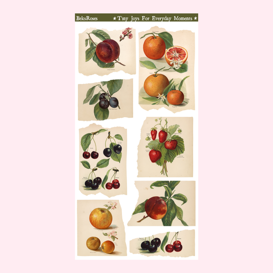 Fruits Sticker Sheet