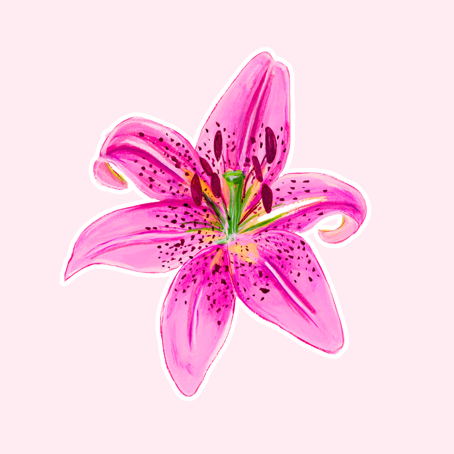 Stargazer Lily Sticker
