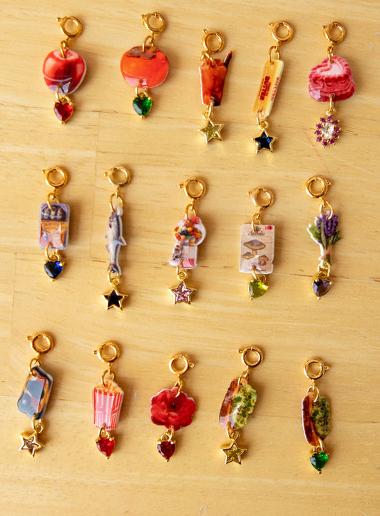 Variety Journal Charms