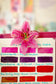 Stargazer Lily Clip
