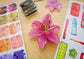 Stargazer Lily Clip