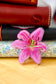 Stargazer Lily Clip